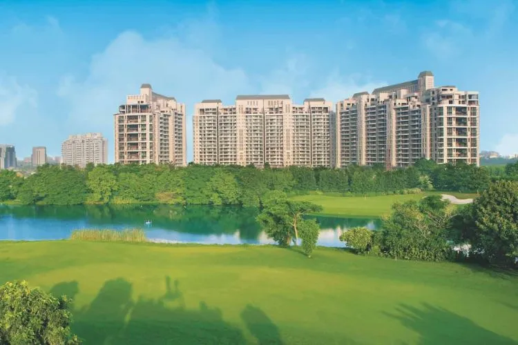 DLF Ultima
